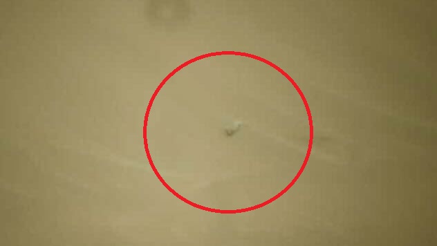 Το ρόβερ Perseverance παρατηρεί τη συρόμενη λεπίδα του ρότορα ενός ελικοπτέρου Ingenuity στην επιφάνεια του Άρη (φωτογραφίες)