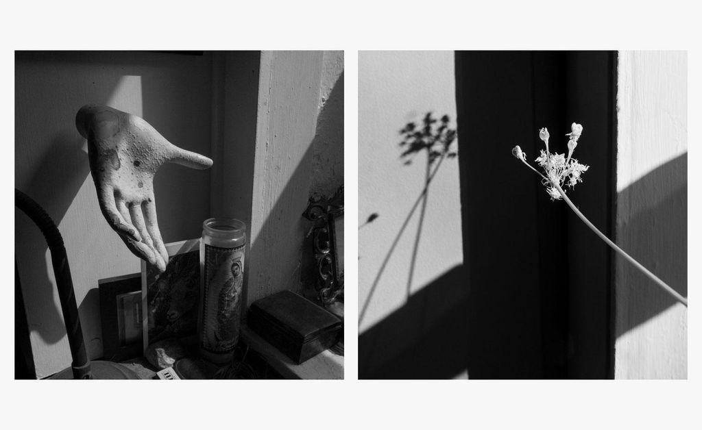 Photographer Larry Fink&rsquo;s lockdown diaries | Wallpaper