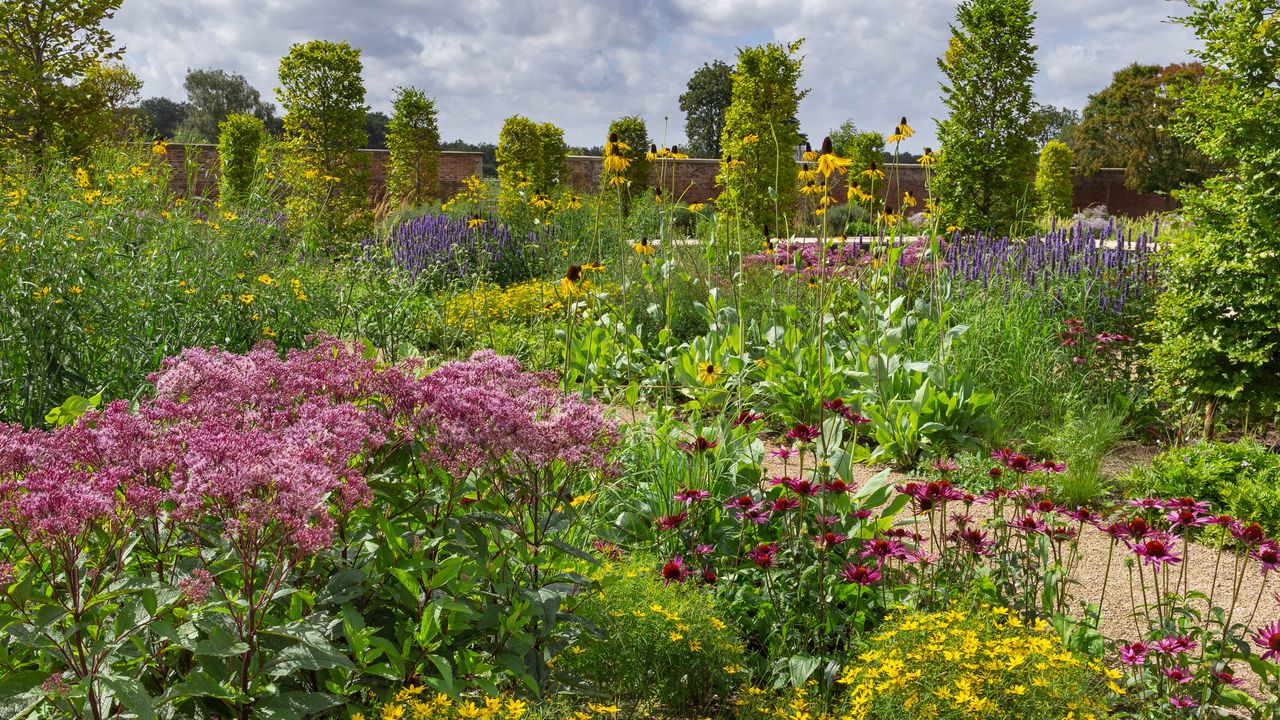 The RHS has a brand new garden for 2021 – here's what to expect ...