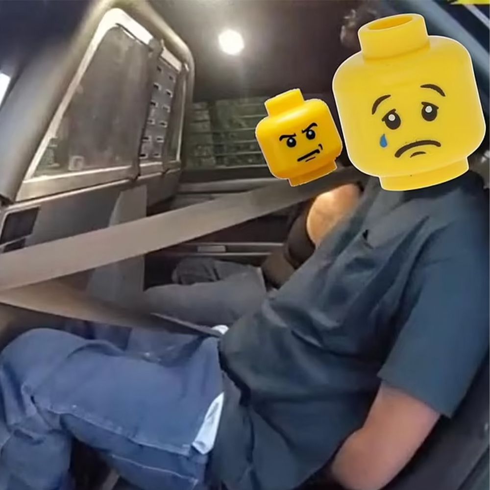 Lego mugshots
