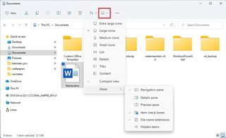 File Explorer layout and view options