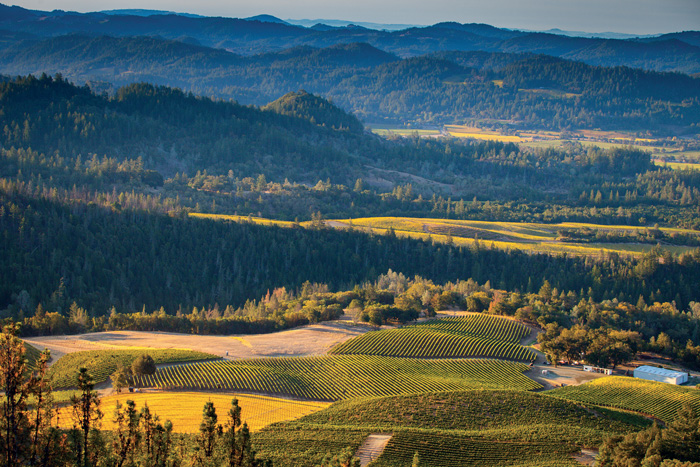 Les Pavots vineyard owned by Peter Michael Winery