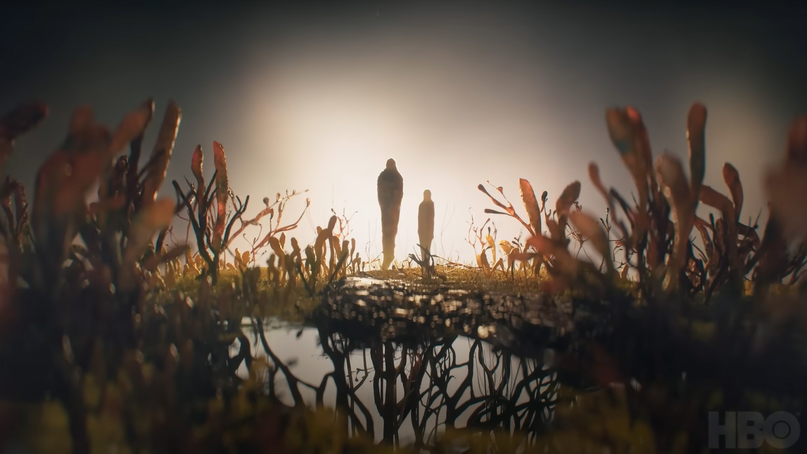 A shot from the intro to the HBO Last of Us show that resembles Joel and Ellie
