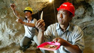 Archaeologists work in Zhoukoudian cave