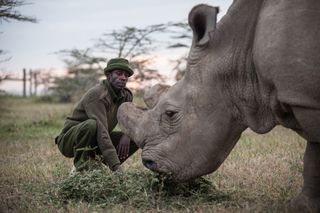 Head caretaker Mohammed Doyo feeds Sudan, the last male northern white rhino left on the planet, on June 12, 2015. Sudan lives in a 10-acre enclosure at Ol Pejeta Conservancy in Kenya, where he is protected from poachers 24 hours a day by armed guards.