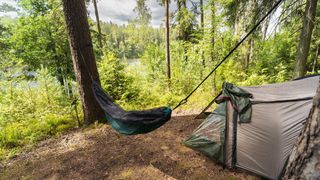 reasons you need a hammock: hammock and tent setup