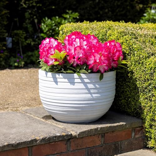 Primrose H20cm Fibrecotta Round Planter in White Garden Patio Flower Pot