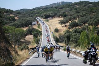 SEVILLE SPAIN AUGUST 21 Robert Gesink of The Netherlands and Team Visma Lease a Bike leads the peloton during La Vuelta 79th Tour of Spain 2024 Stage 5 a 177km stage Fuente del Maestre to Seville UCIWT on August 21 2024 in Seville Spain Photo by Dario BelingheriGetty Images