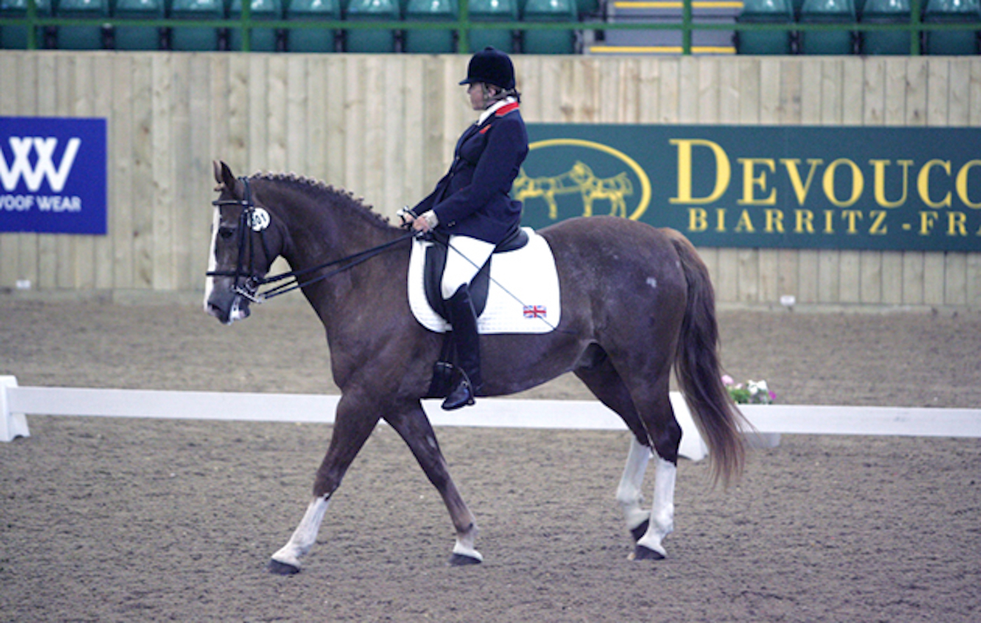 Hartpury para dressage July 2010