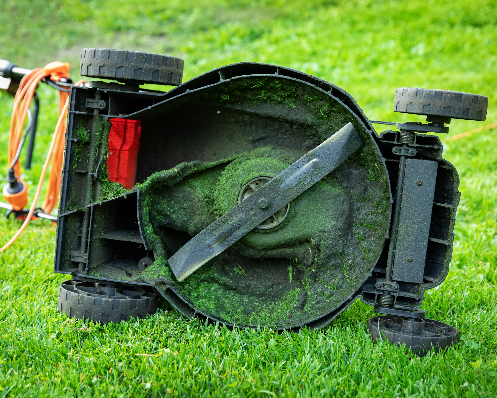 Grassy underside of lawn mower
