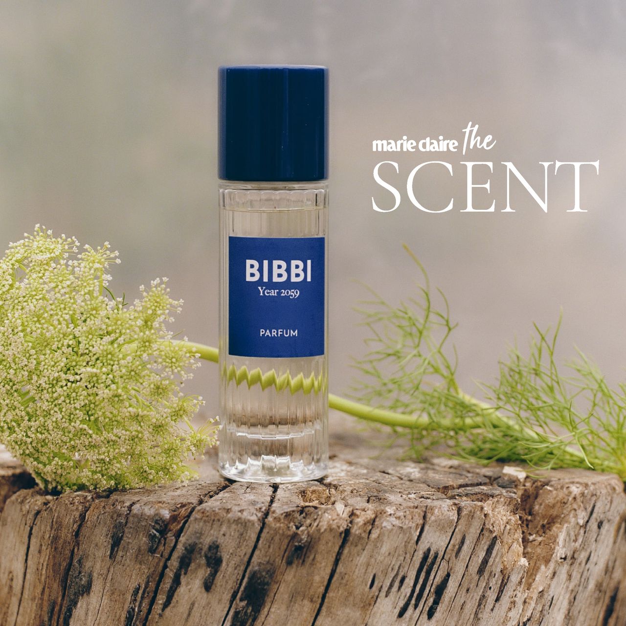 The Scent Bibbi Year 2059