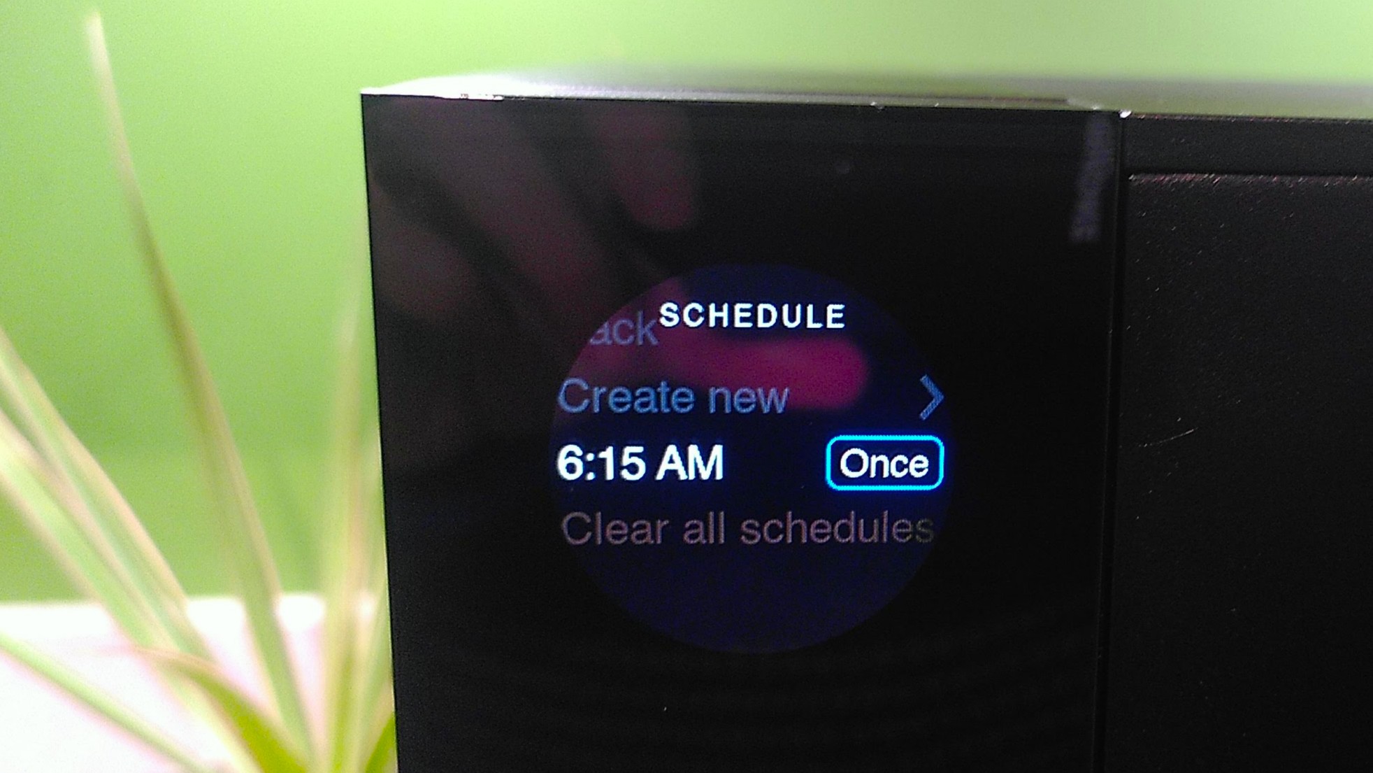 Setting brewing schedule on Fellow Aiden Precision Coffee Maker