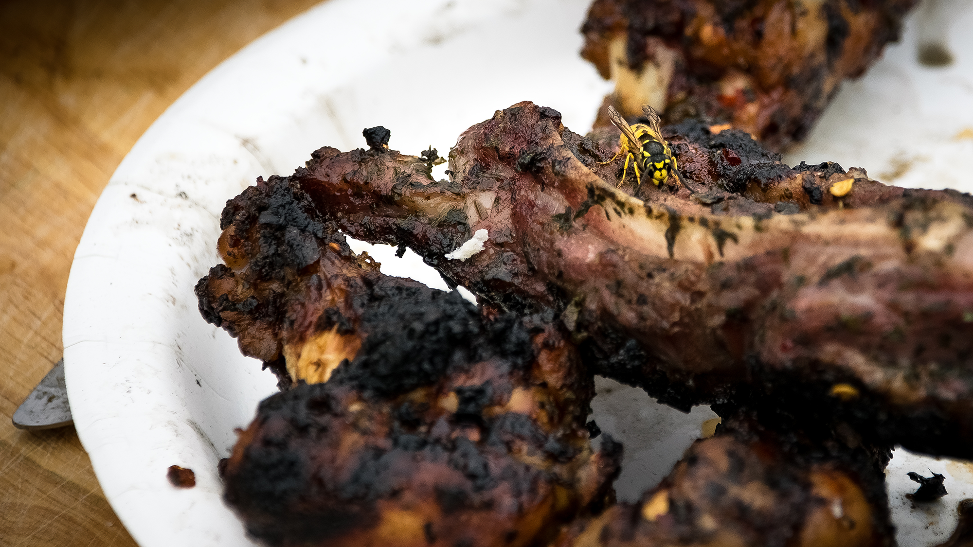 A wasp sat on some bbq chicken
