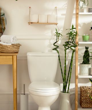Small shelf above toilet with plants to the side