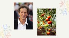 composite image of monty don and a tomato plant