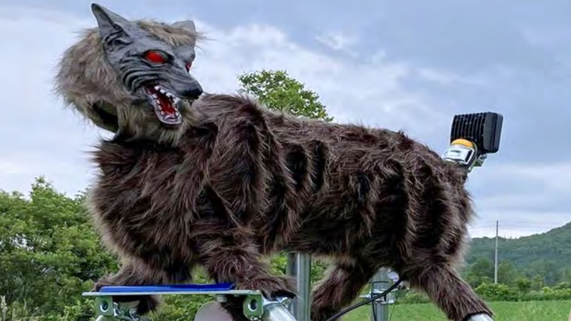 Monster Wolf