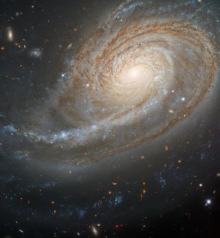 Galaxy NGC 772 boasts one overdeveloped spiral arm due to tidal interactions with an unruly neighbor.
