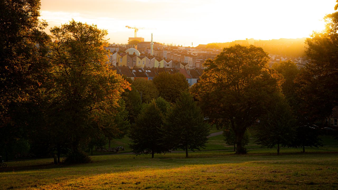 Example image showing forest at sunset