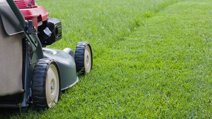 cutting a lawn with a lawn mower