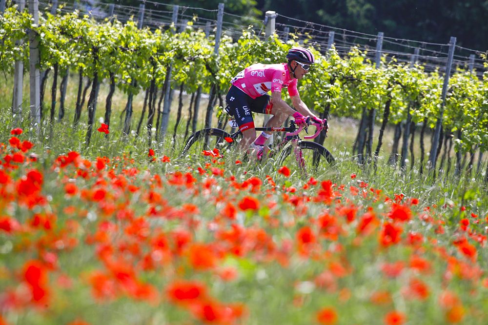Overall leader Valerio Conti (UAE Team Emirates) during stage 11 at the Giro d'Italia