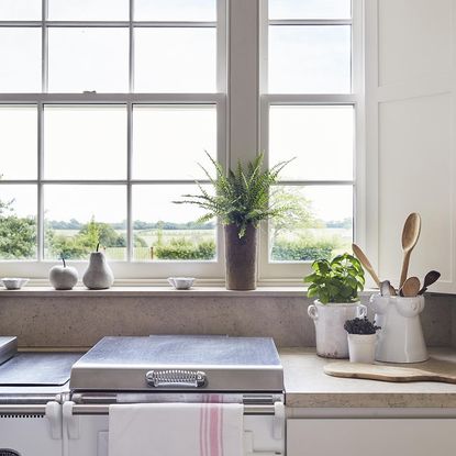 room with white wall and window with potted plants