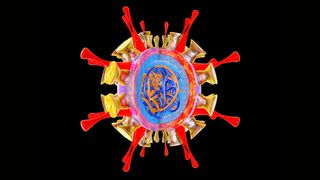 illustration of a flu virus depicted in bright colors with the genetic material at its center exposed