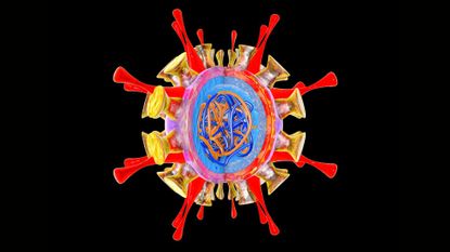 illustration of a flu virus depicted in bright colors with the genetic material at its center exposed