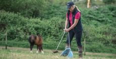 Female removing droppings from field with horse in background