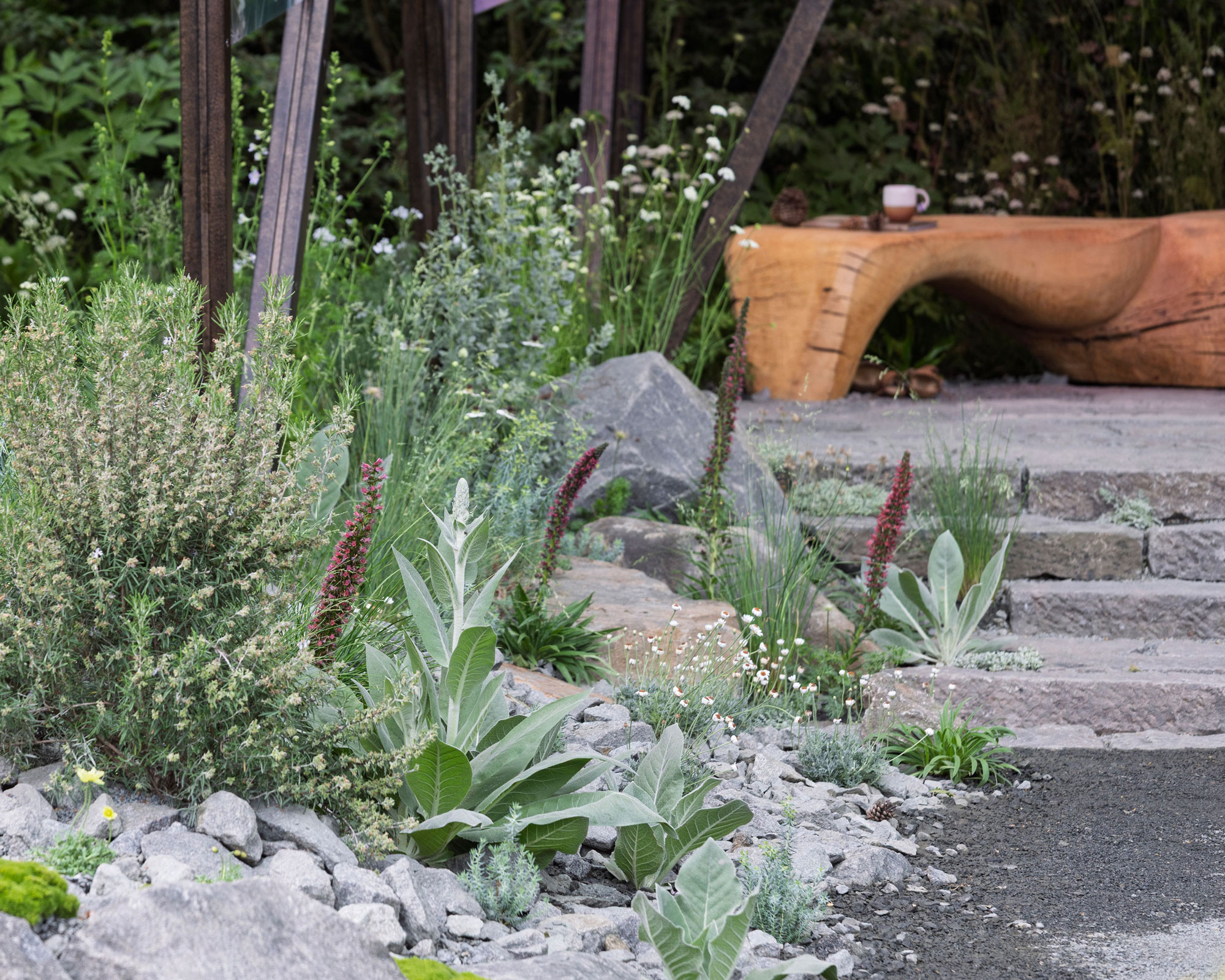 rock garden design with drought tolerant plants, garden steps and wooden garden bench