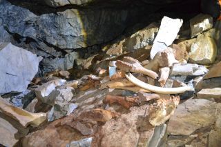 View of lots of broken bones and teeth surrounded by rocks inside a cave