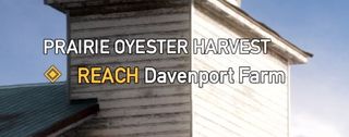 I don't think that's how you spell oyster. 