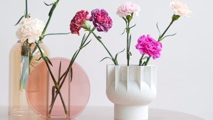 Carnations in a selection of vases