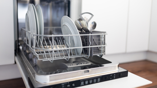 clean open dishwasher