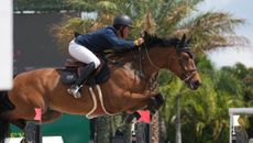 nick-dello-joio-and-cornets-cambridge-jumping-SP100782-sportfot-THUMB.jpg