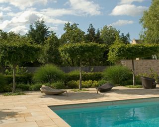 An example of pool area ideas showing a swimming pool with stone pavers and green shrubbery