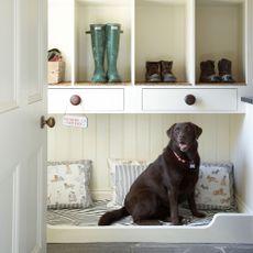utility room with built in pet bed