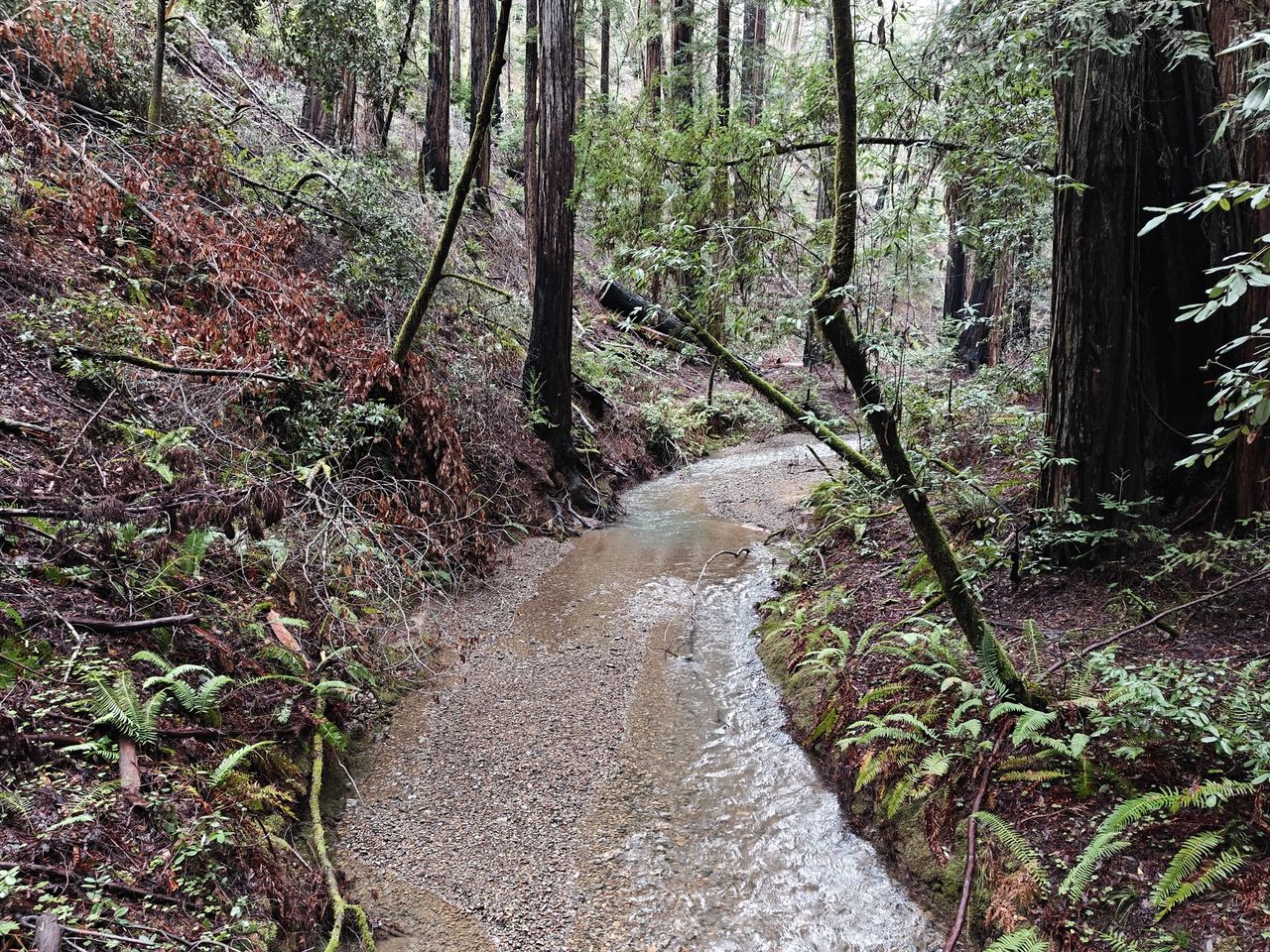 Creek shot by OnePlus 13R
