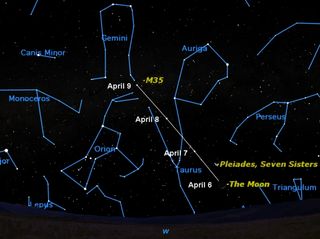 This week the moon moves past two of the prettiest star clusters in the sky, the Pleiades and Messier 35. As seen around 10 p.m., the position of the moon is marked each night. 