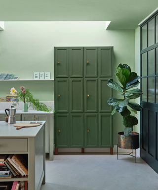 green kitchen with light green walls and dark green cabinet
