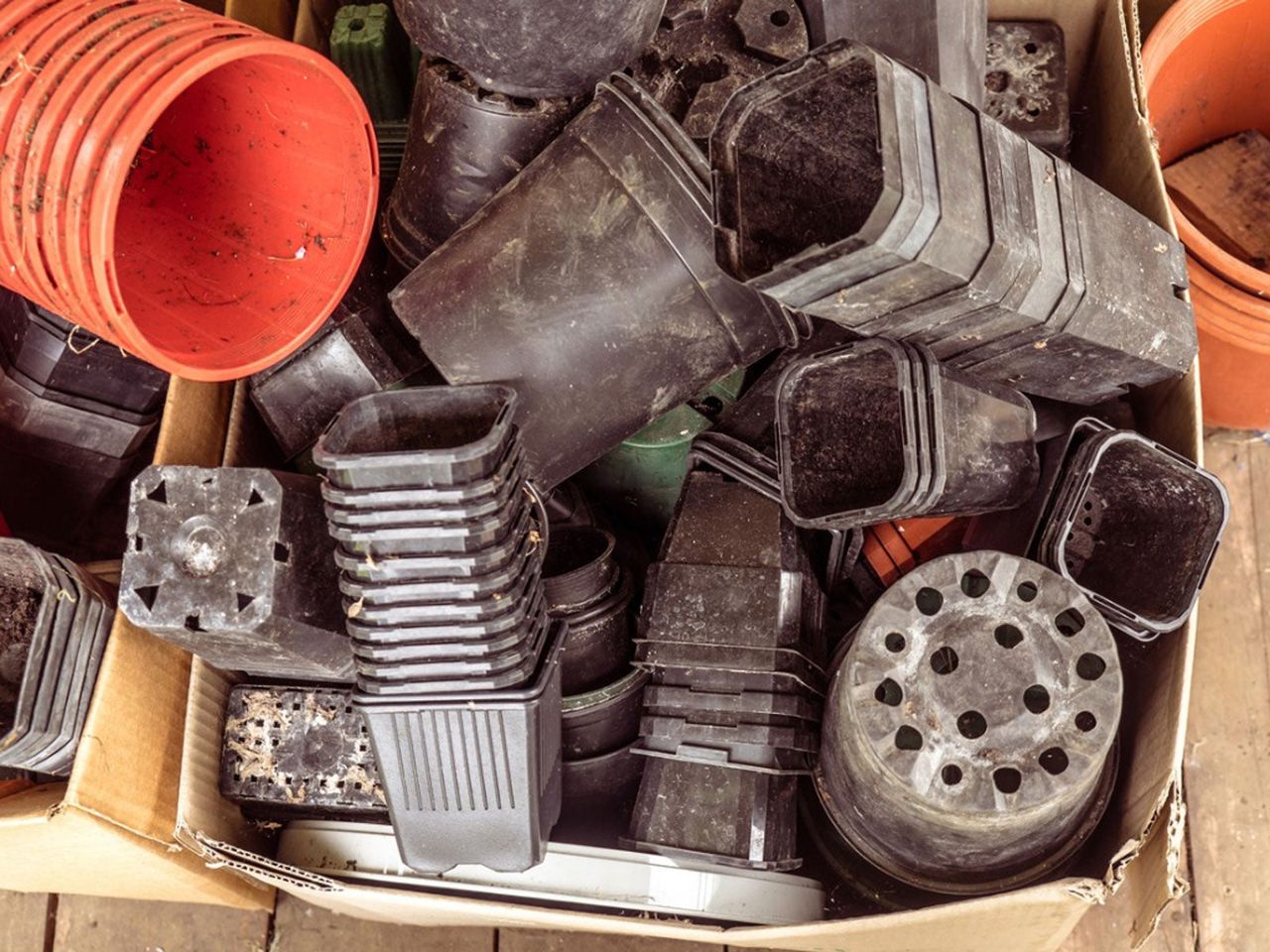 Box Of Used Garden Plant Plastic Containers