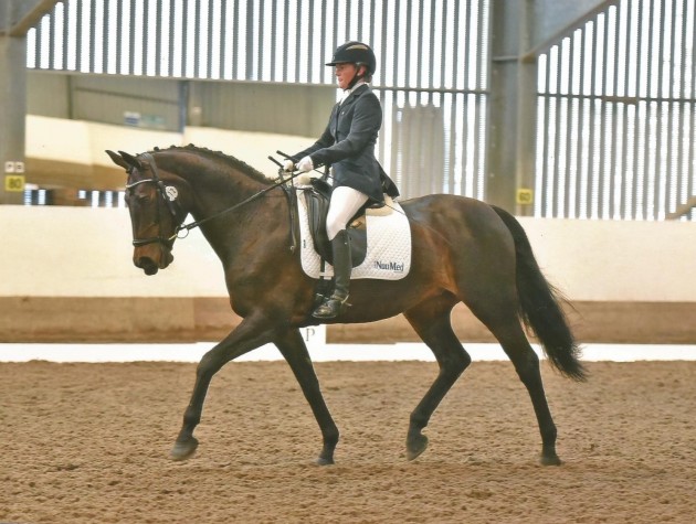 Amo at West Wilts advanced medium petplan area festival