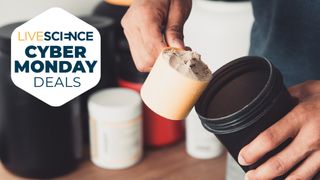 Cyber Monday protein powder deals