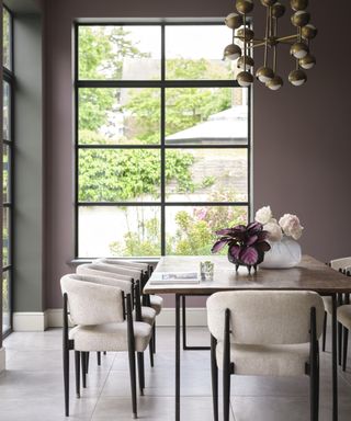 modern dining room with purple walls, large windows and cream dining chairs with wooden table