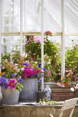 Salvaged planters filled with pretty cut flowers in a greenhouse