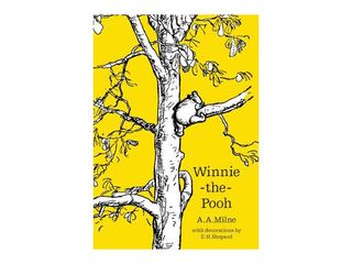 Cover of class Winnie The Pooh book