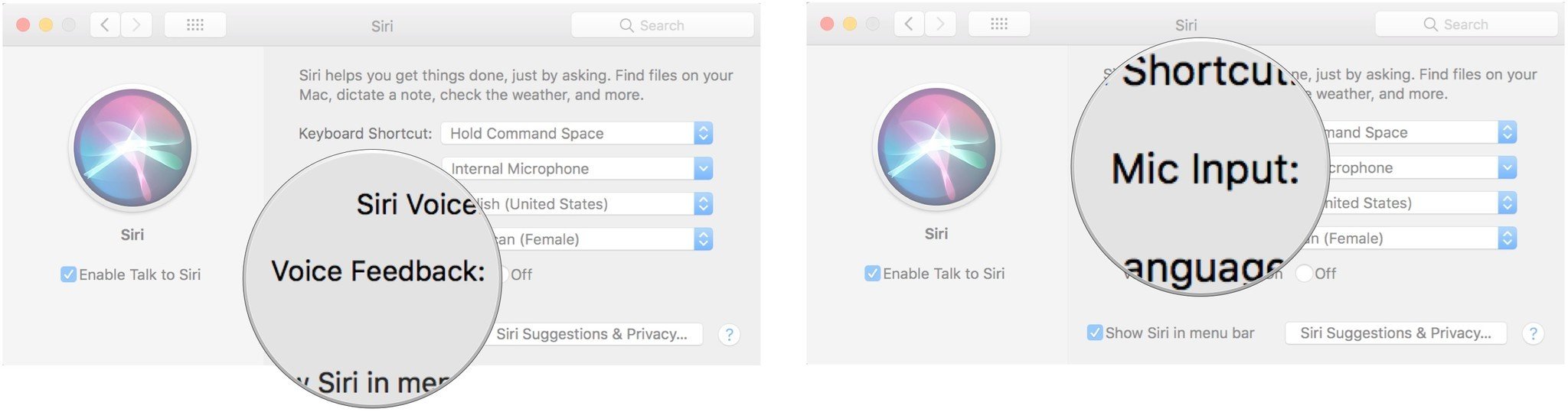 To enable Siri on the Mac, turn voice feedback on or off, then select a mic input.