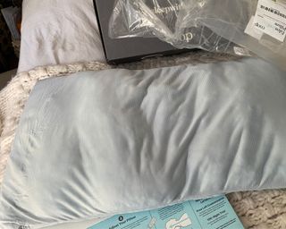 Coop Eden Cool+ Pillow without cover on
