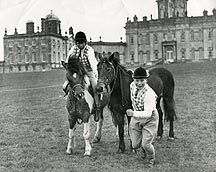 PonyClub.jpg