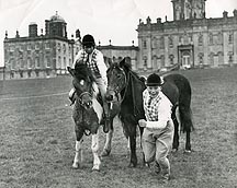 PonyClub.jpg
