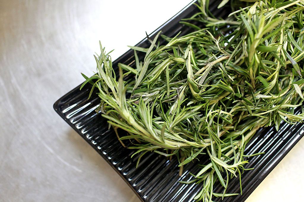 how to grow rosemary